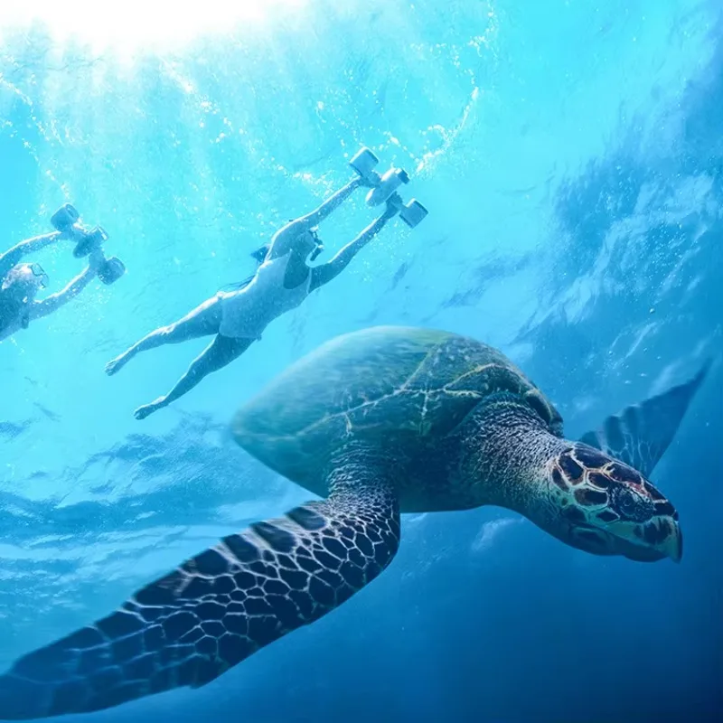 CAMORO Subule WhiteShark MixPr - Underwater Scooter Sea Scooter recension och pris