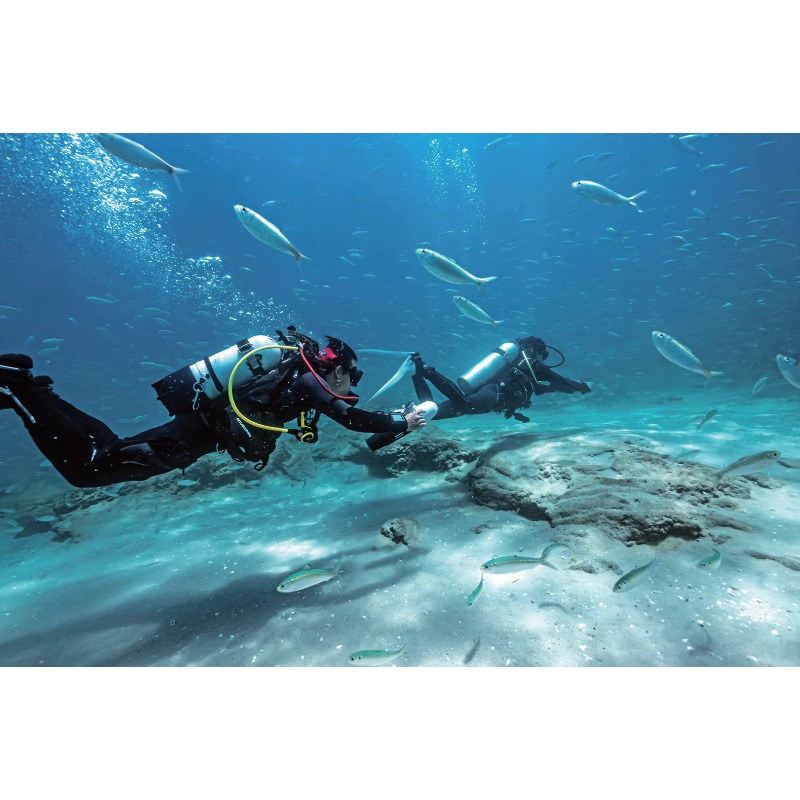 High-Speed Electric Underwater - Underwater Scooter Sea Scooter recension och pris